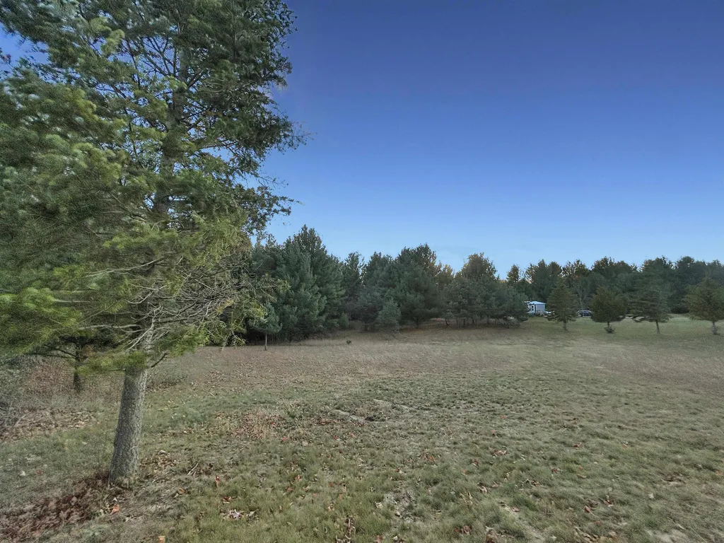 Vl Baggs Road Whitewater Township MI 49690