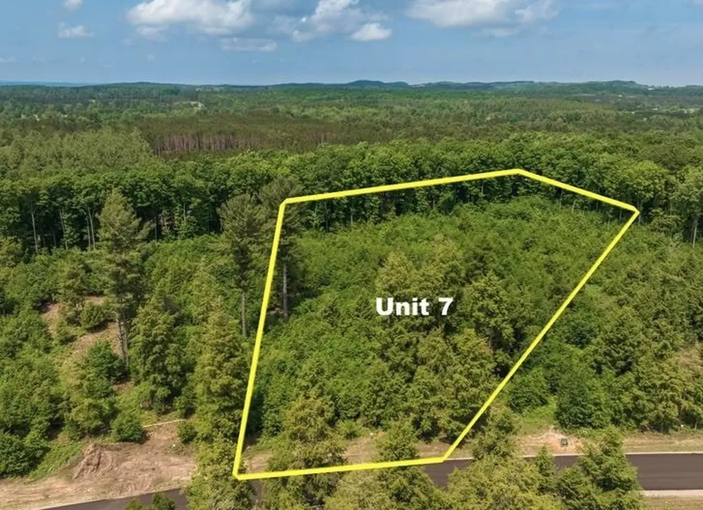 8852 Hemlock Hill Drive Long Lake Township MI 49685