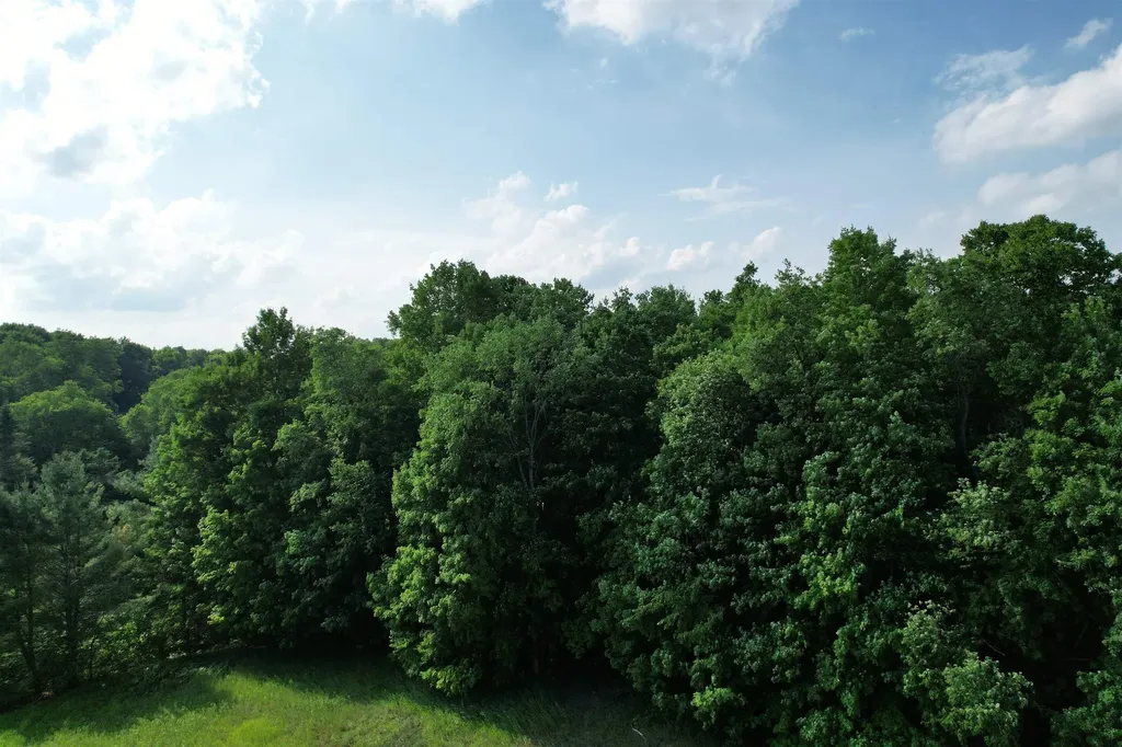 33 W 20 Road Antioch Township MI 49668