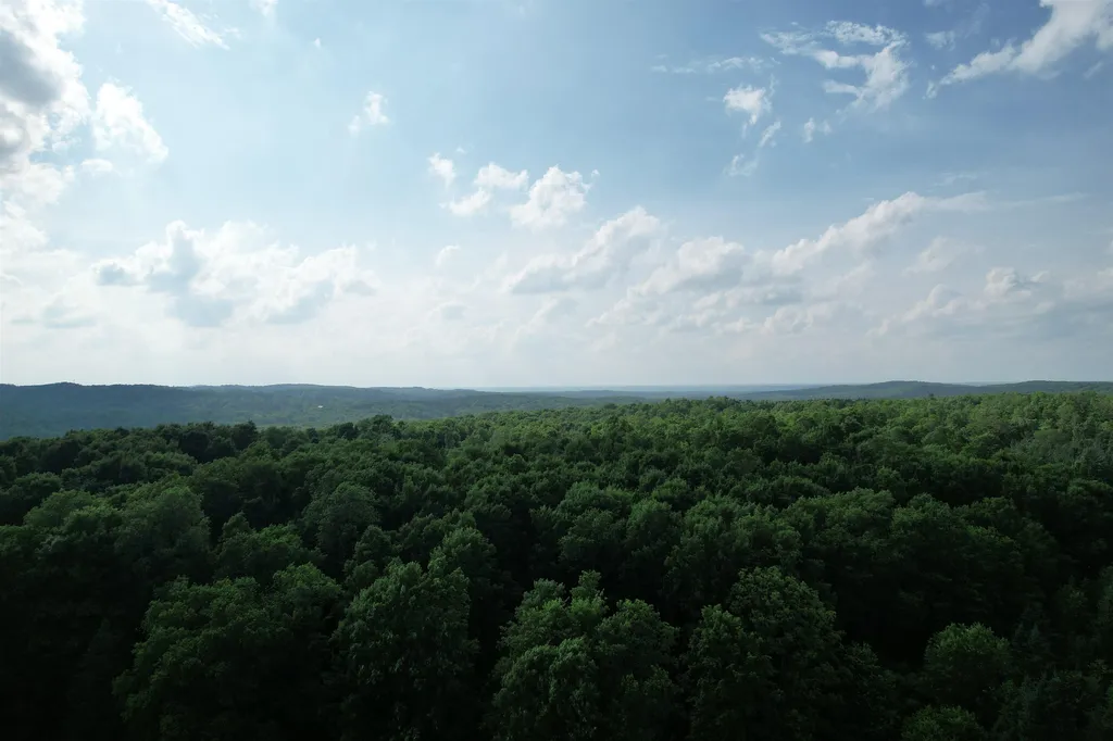33 W 20 Road Antioch Township MI 49668