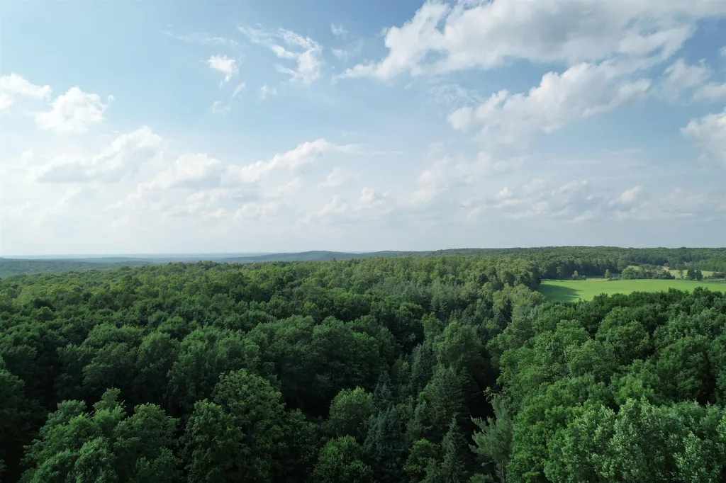 33 W 20 Road Antioch Township MI 49668