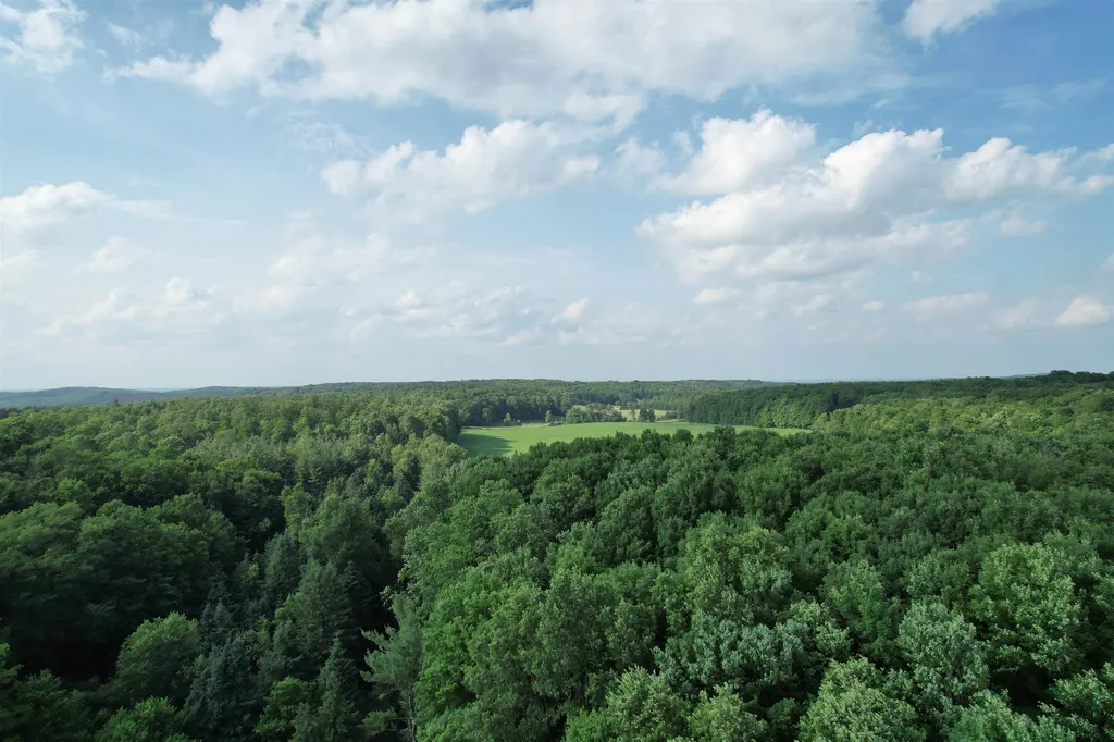33 W 20 Road Antioch Township MI 49668