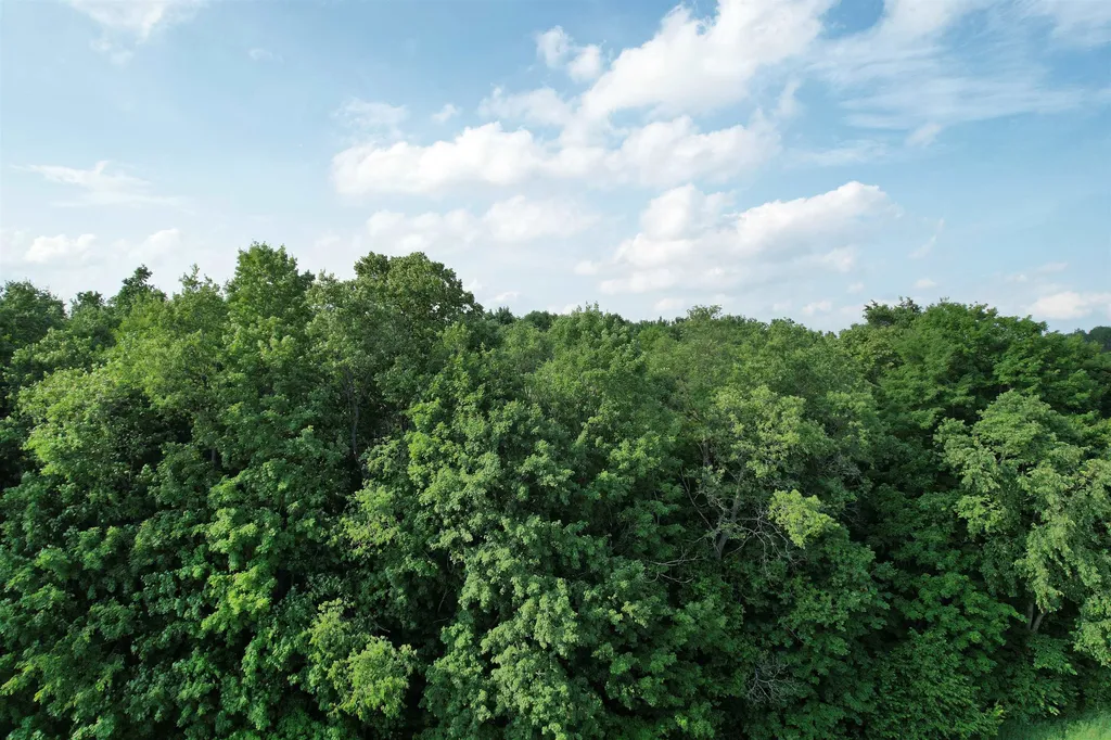 33 W 20 Road Antioch Township MI 49668