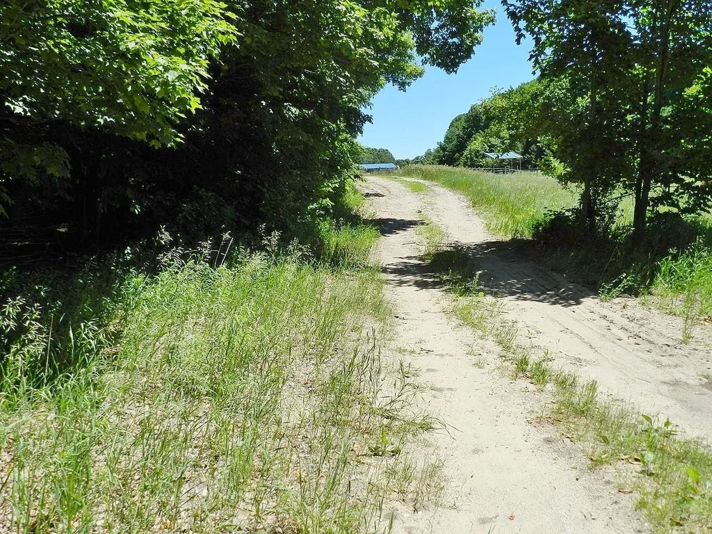 10303 Narrow Gauge Road Homestead Township MI 49617