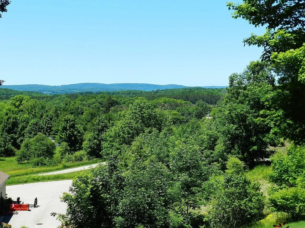 10303 Narrow Gauge Road Homestead Township MI 49617