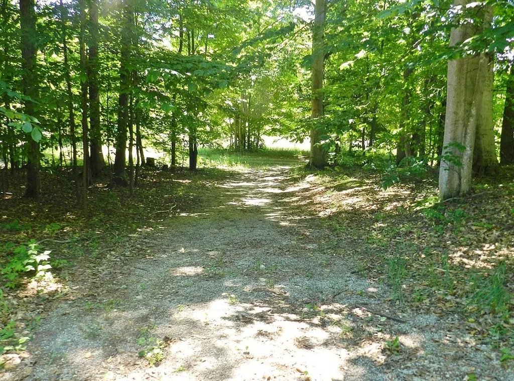 10303 Narrow Gauge Road Homestead Township MI 49617