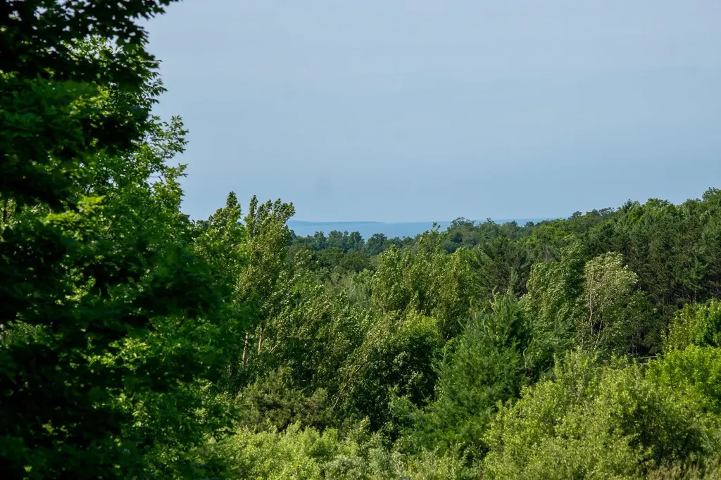 9742 E Peterson Road Leelanau Township MI 49670