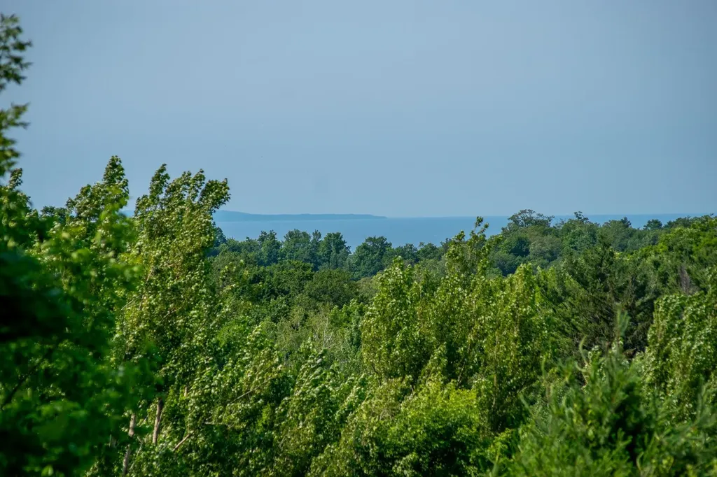 9742 E Peterson Road Leelanau Township MI 49670