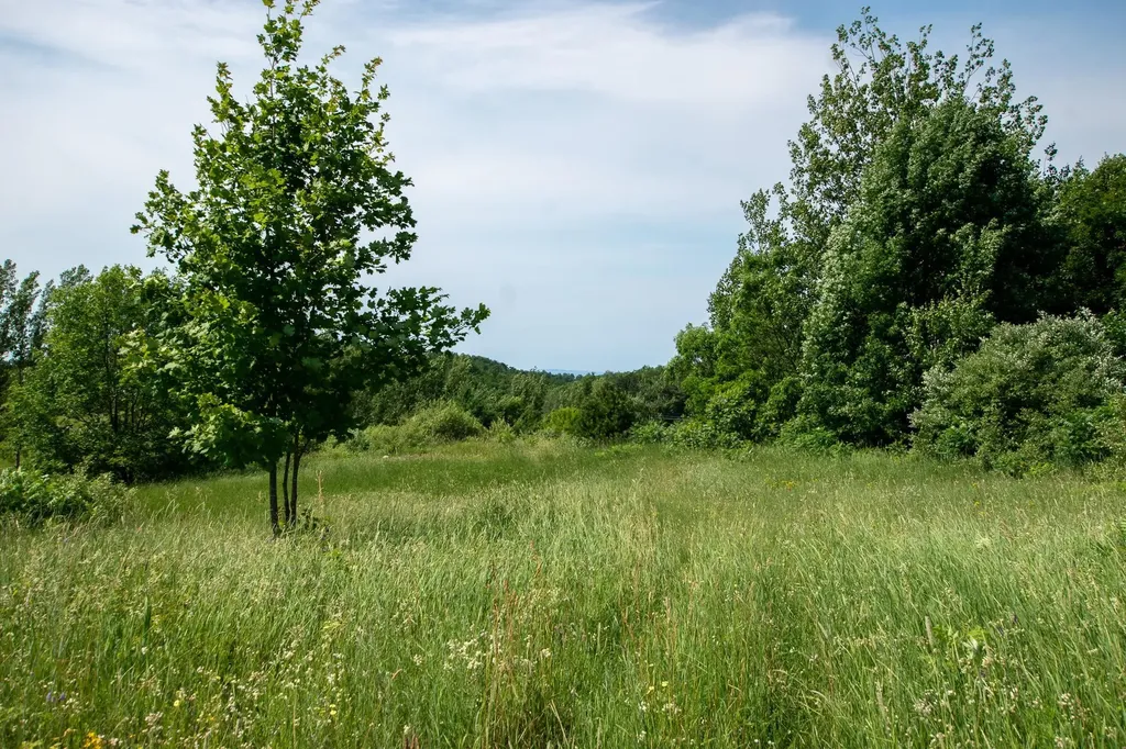 9742 E Peterson Road Leelanau Township MI 49670