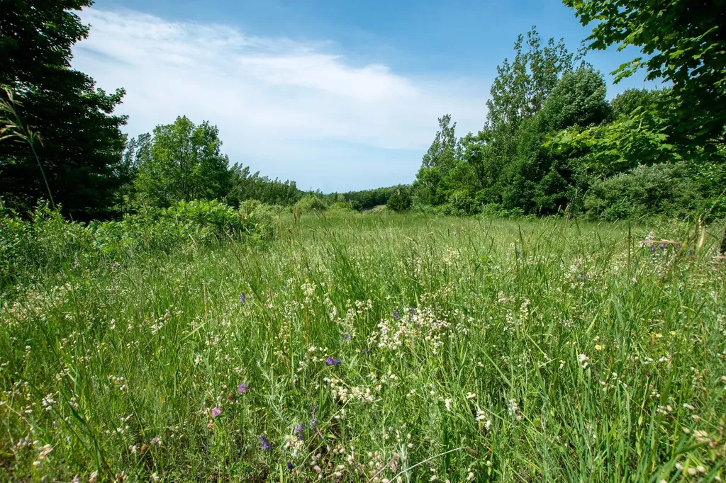 9742 E Peterson Road Leelanau Township MI 49670