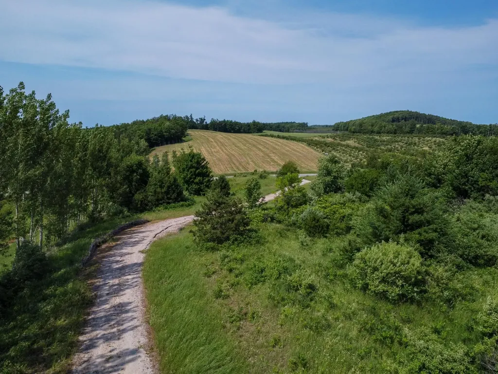 9742 E Peterson Road Leelanau Township MI 49670