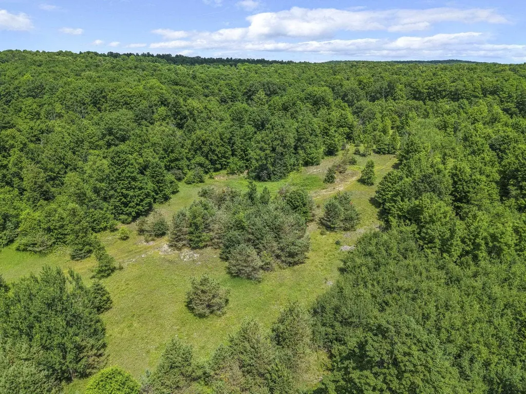 6320 N Morey Road Pioneer Township MI 49651