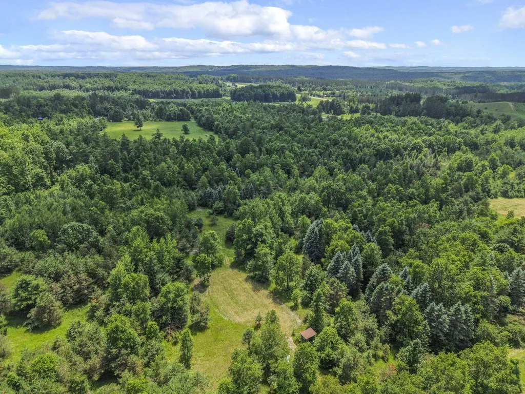6320 N Morey Road Pioneer Township MI 49651