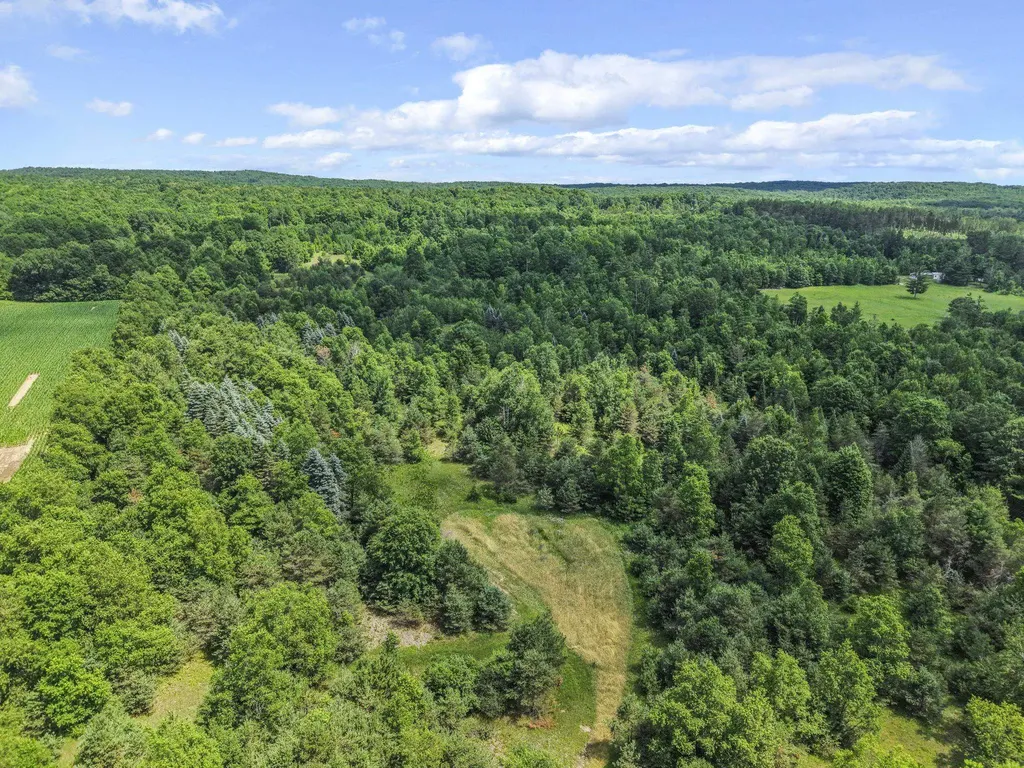 6320 N Morey Road Pioneer Township MI 49651
