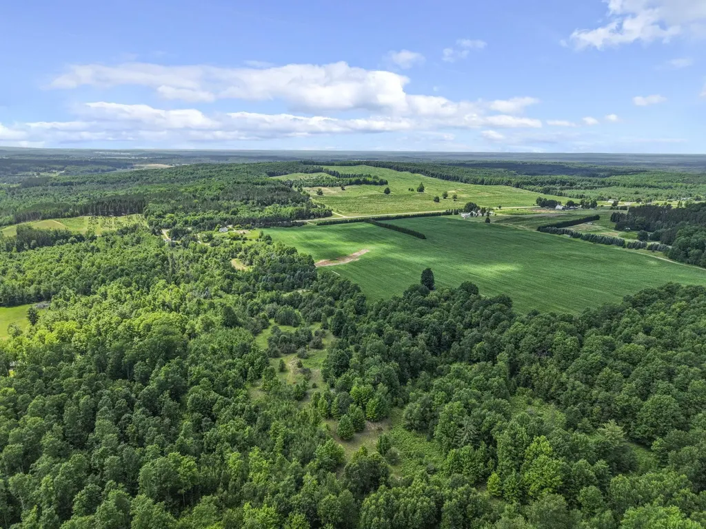 6320 N Morey Road Pioneer Township MI 49651