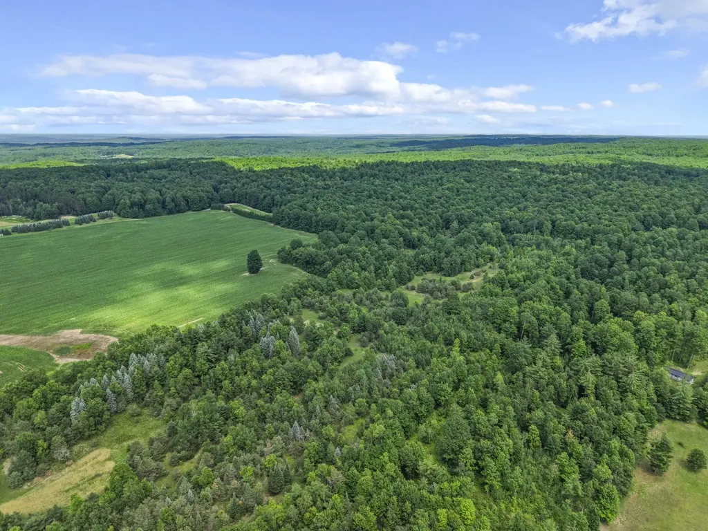6320 N Morey Road Pioneer Township MI 49651