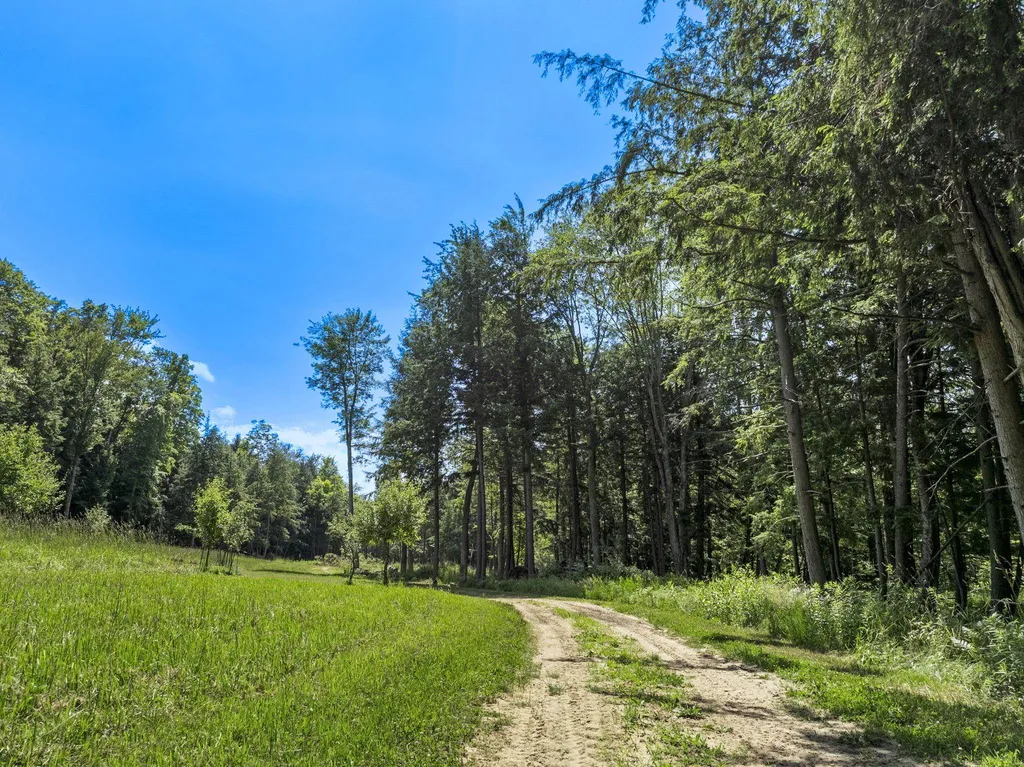 2881 E Aspen Drive Solon Township MI 49621