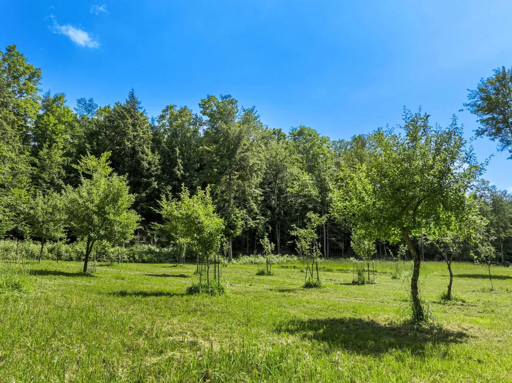 2881 E Aspen Drive Solon Township MI 49621