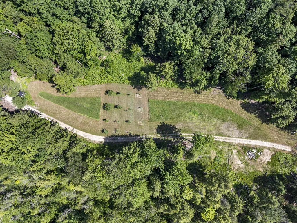 2881 E Aspen Drive Solon Township MI 49621