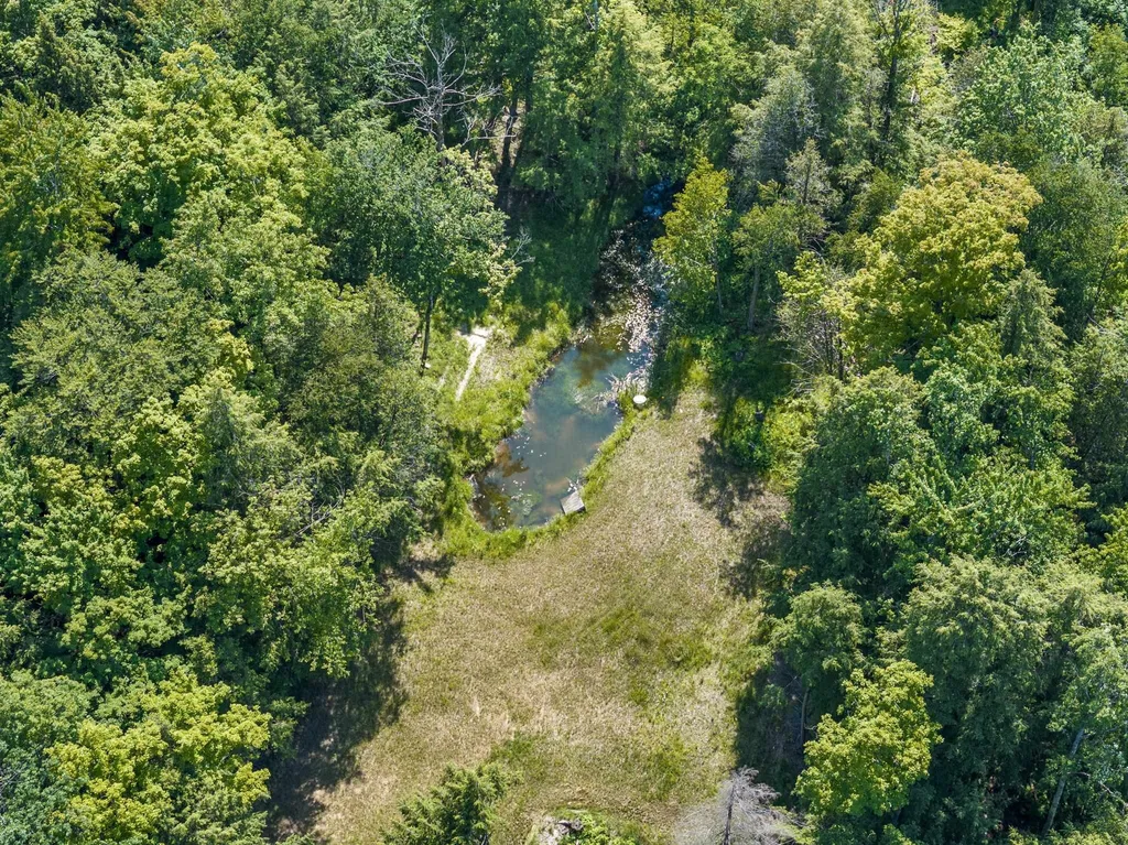 2881 E Aspen Drive Solon Township MI 49621