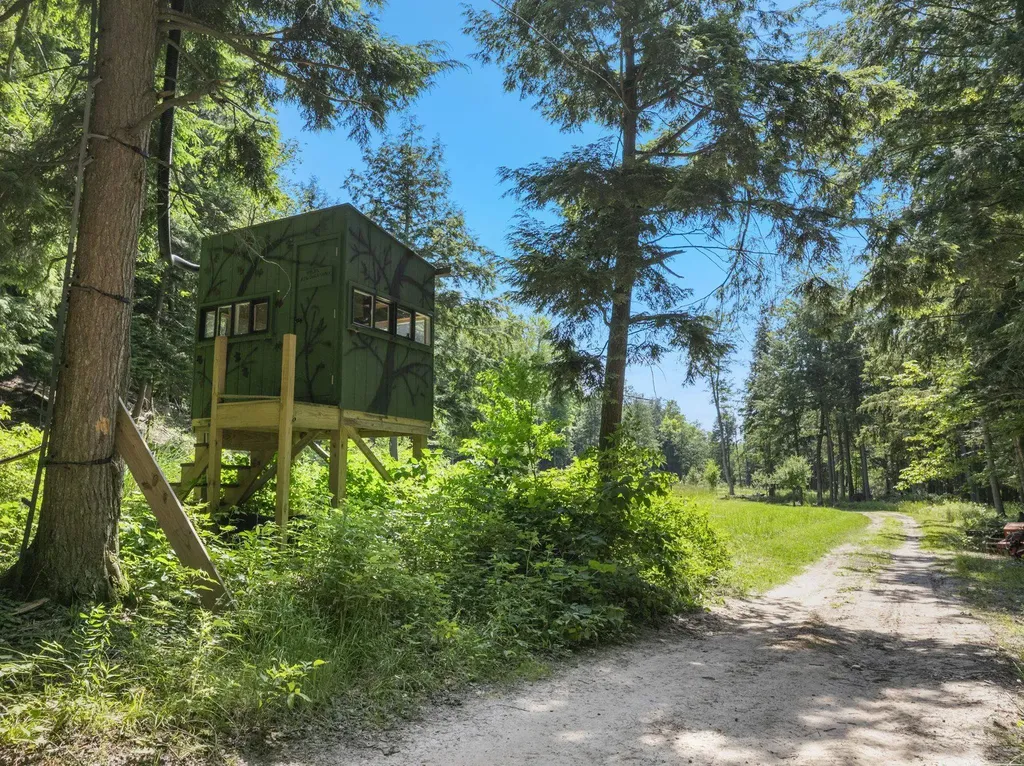 2881 E Aspen Drive Solon Township MI 49621