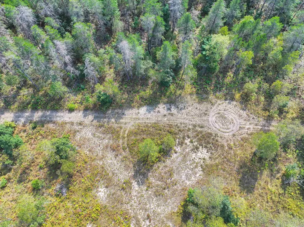 Off W Kalkaska Road NW Kalkaska Township MI 49646