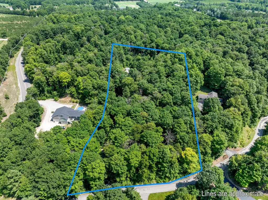 3027 S Blake Lane Bingham Township MI 49653