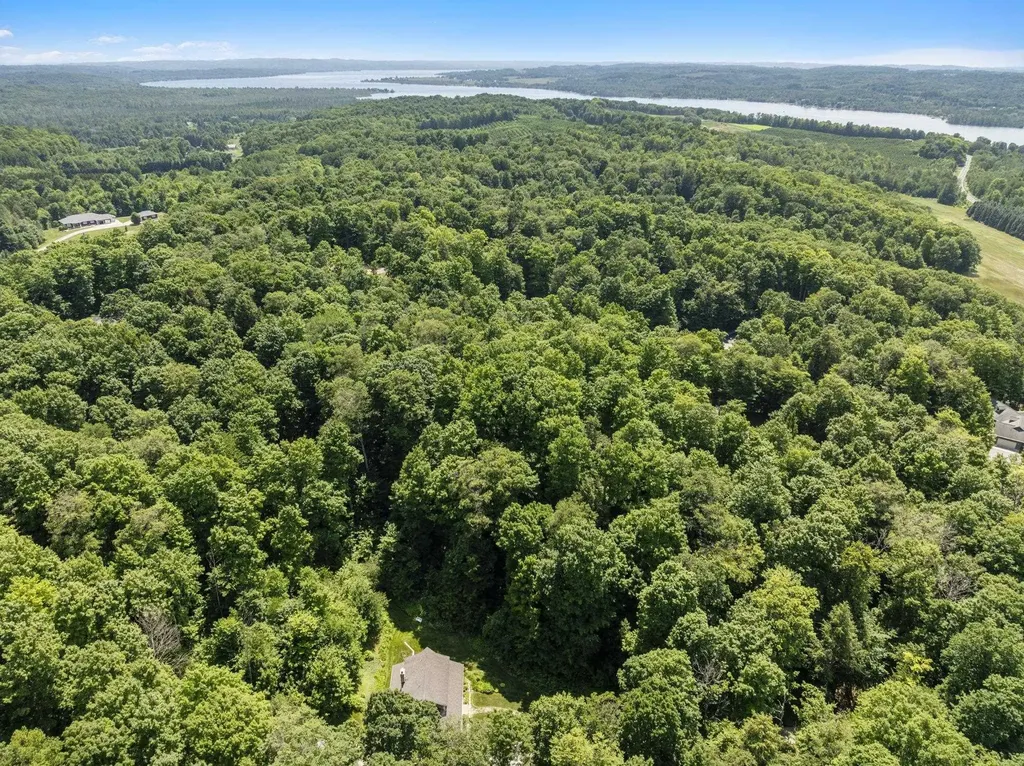 3027 S Blake Lane Bingham Township MI 49653