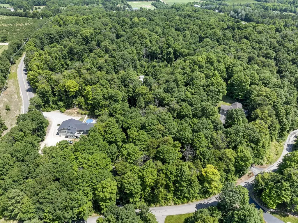 3027 S Blake Lane Bingham Township MI 49653