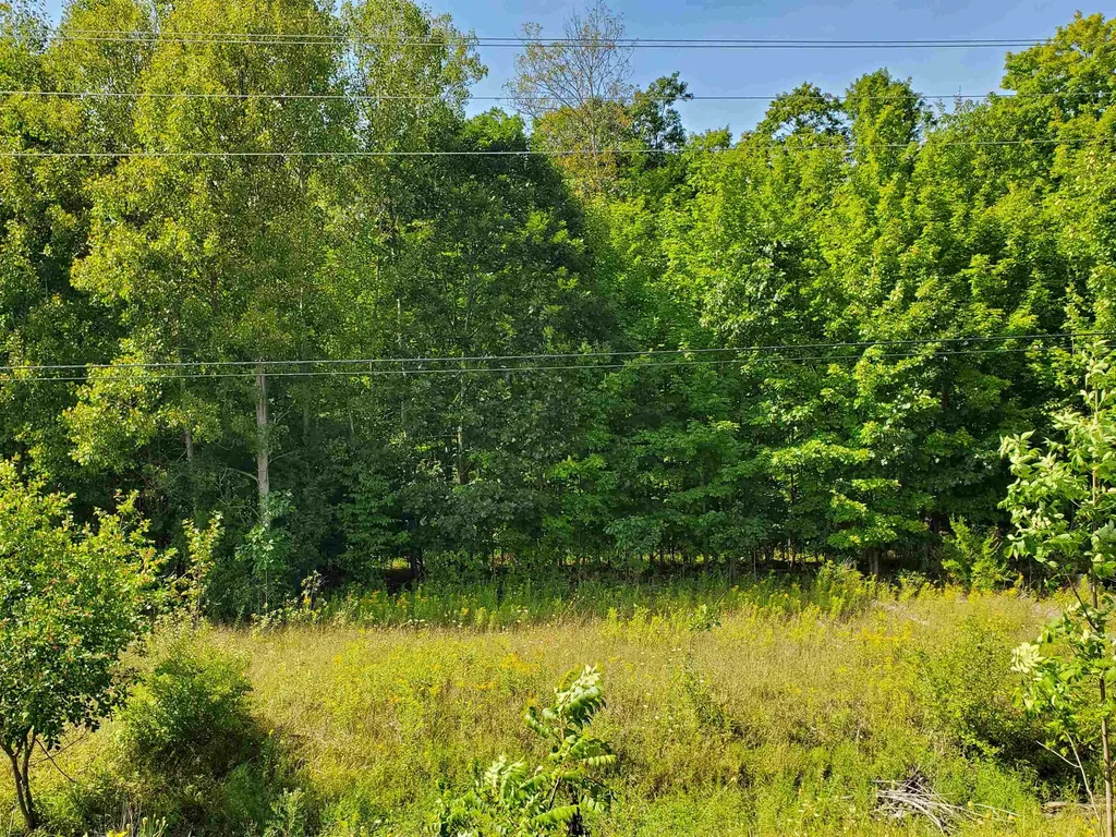 Parcel #3 2.25a SW Bayshore Drive Bingham Township MI 49684