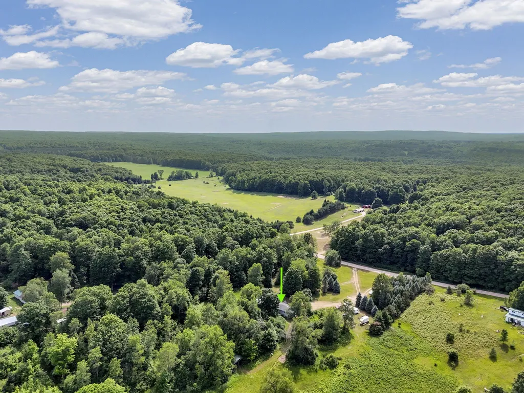 3850 N 25 Road Colfax Township MI 49668
