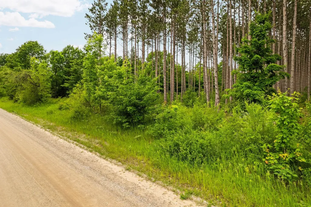 Saint Johns Road Inland Township MI 49643