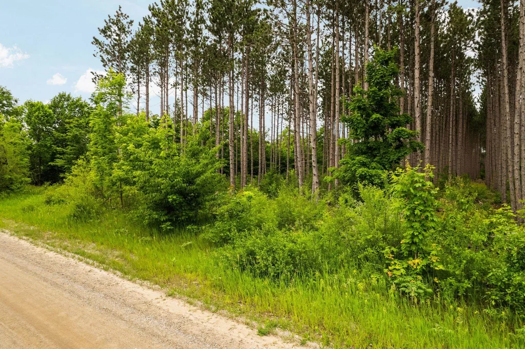 Saint Johns Road Inland Township MI 49643
