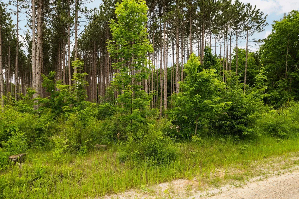 Saint Johns Road Inland Township MI 49643