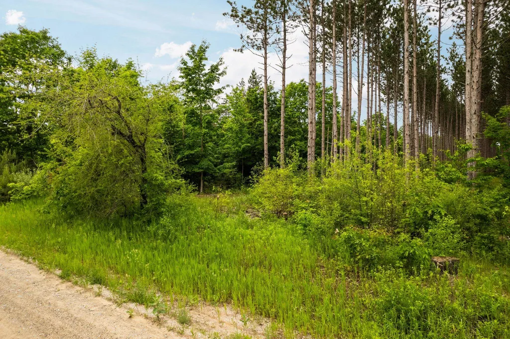 Saint Johns Road Inland Township MI 49643