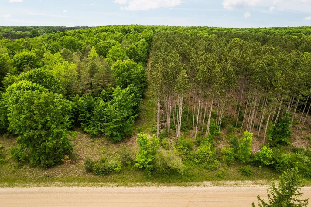Saint Johns Road Inland Township MI 49643