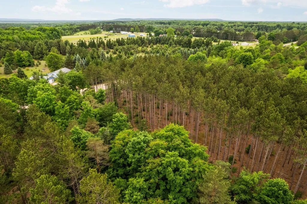 Saint Johns Road Inland Township MI 49643