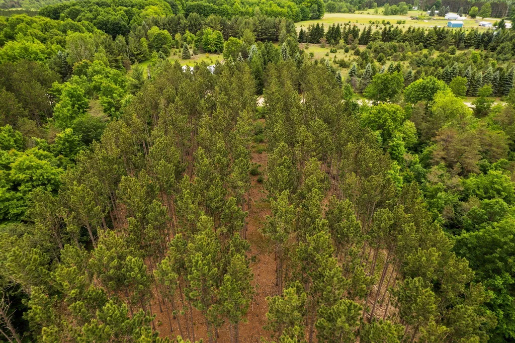 Saint Johns Road Inland Township MI 49643