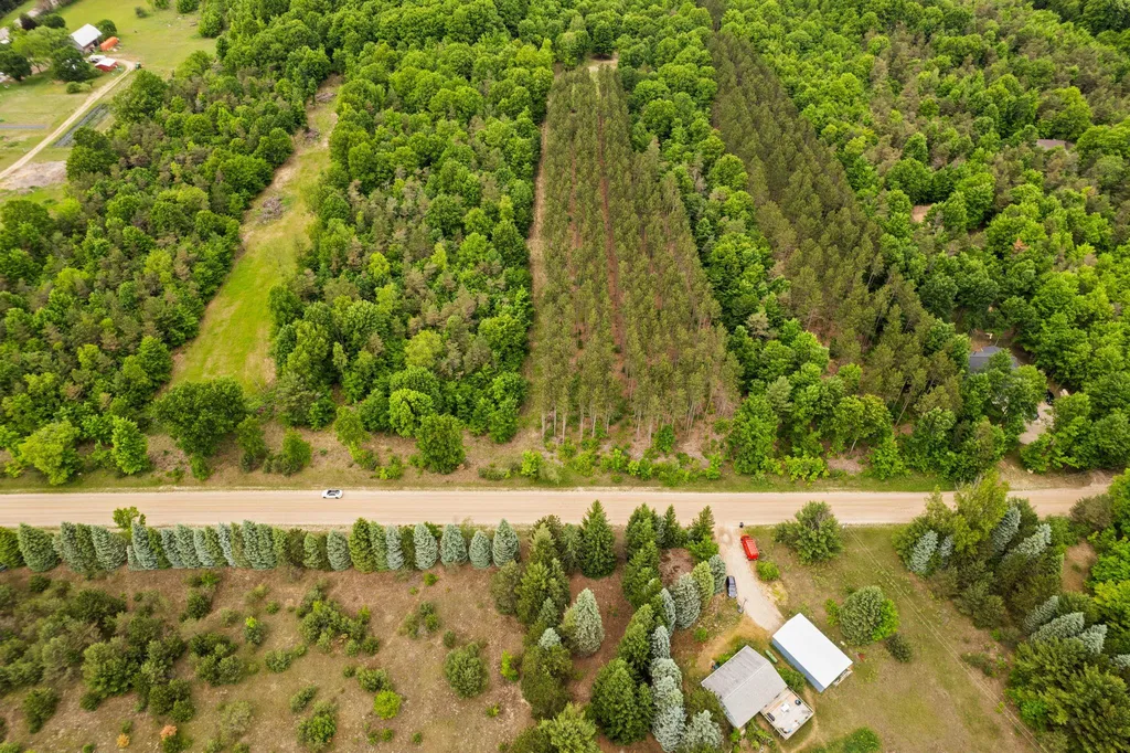 Saint Johns Road Inland Township MI 49643