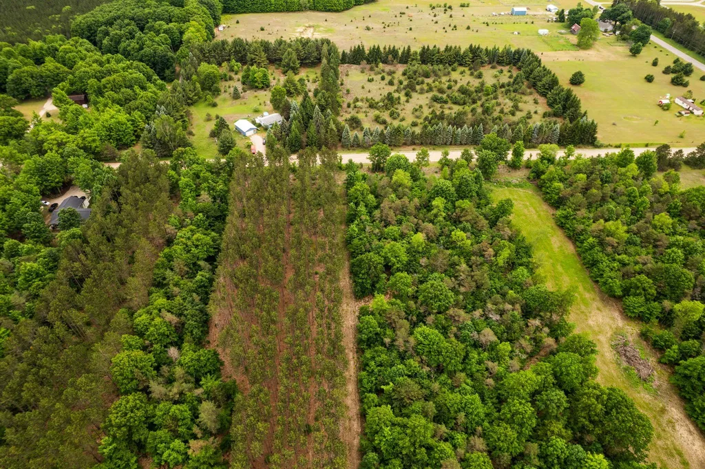 Saint Johns Road Inland Township MI 49643