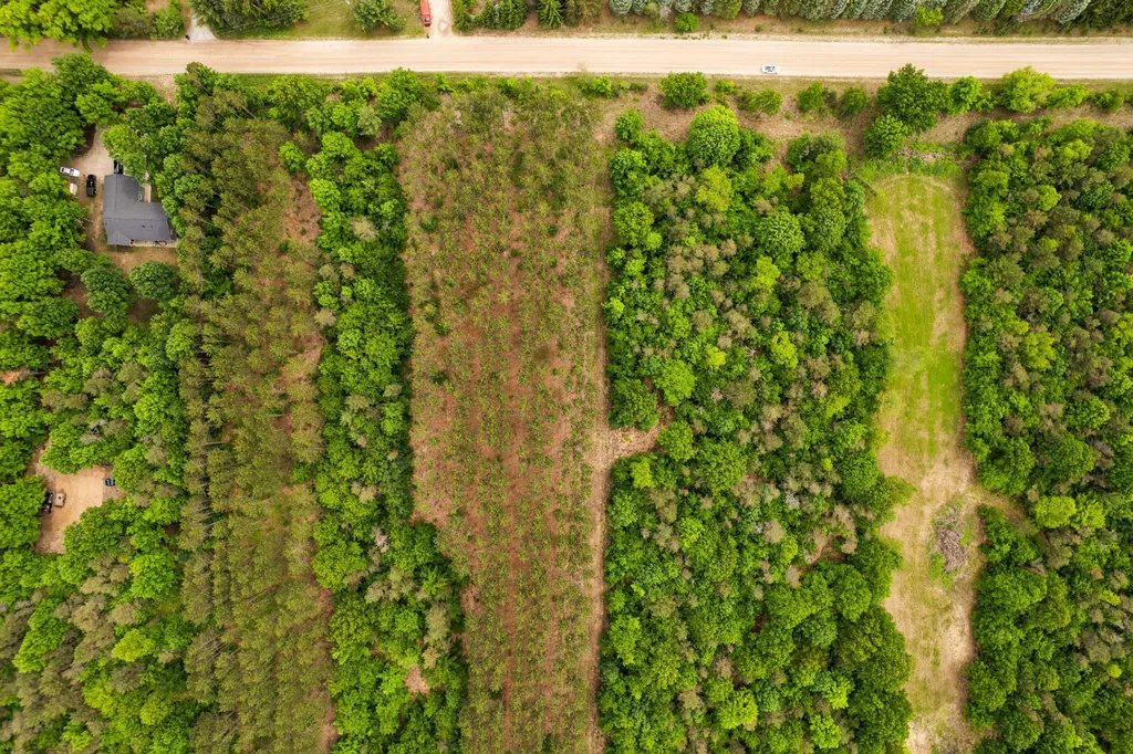 Saint Johns Road Inland Township MI 49643