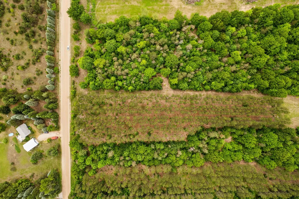 Saint Johns Road Inland Township MI 49643