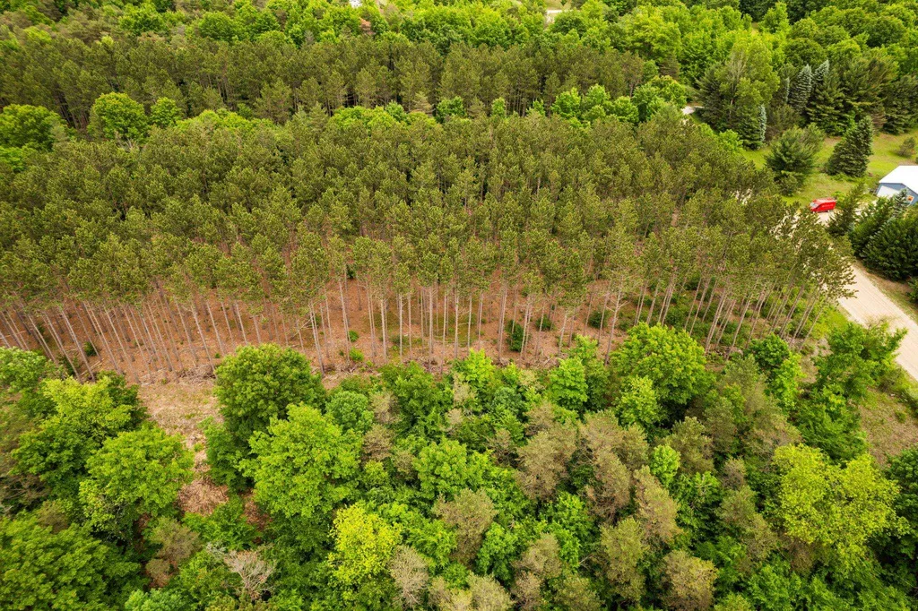 Saint Johns Road Inland Township MI 49643