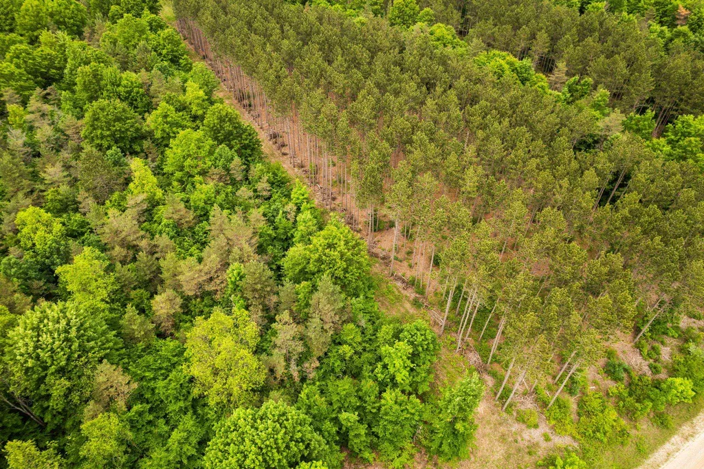 Saint Johns Road Inland Township MI 49643