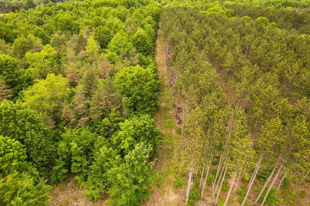 Saint Johns Road Inland Township MI 49643