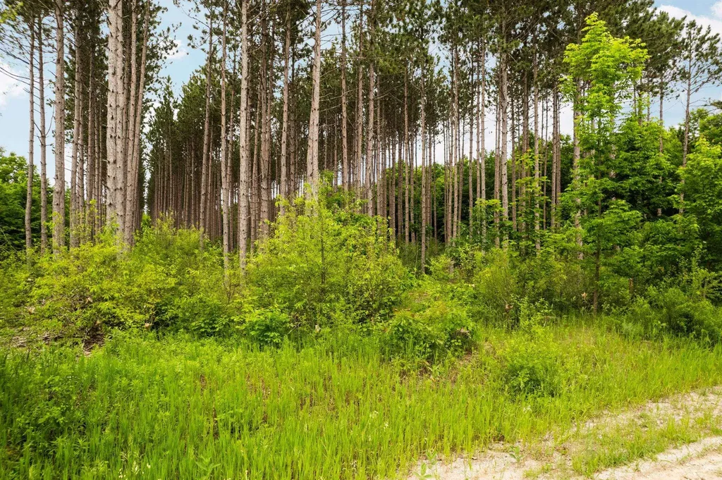 Saint Johns Road Inland Township MI 49643