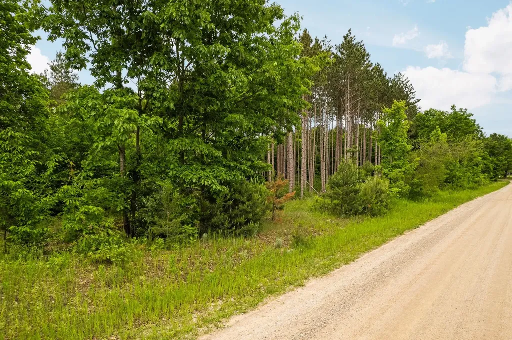 Saint Johns Road Inland Township MI 49643