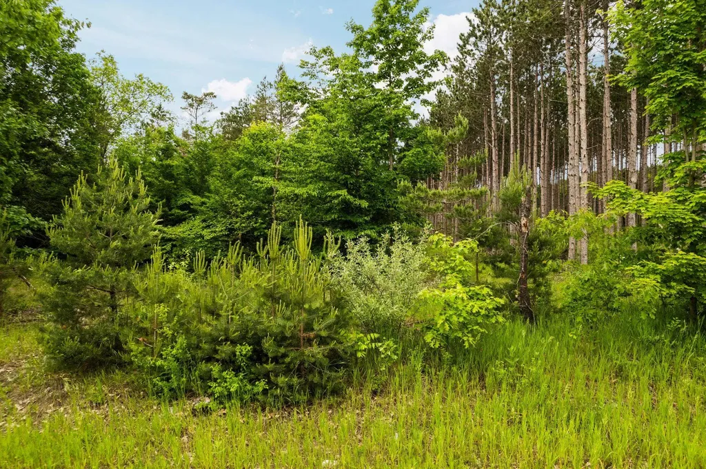 Saint Johns Road Inland Township MI 49643