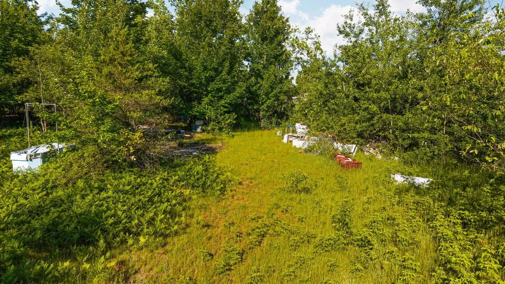 436 Tobias Road Star Township MI 49730