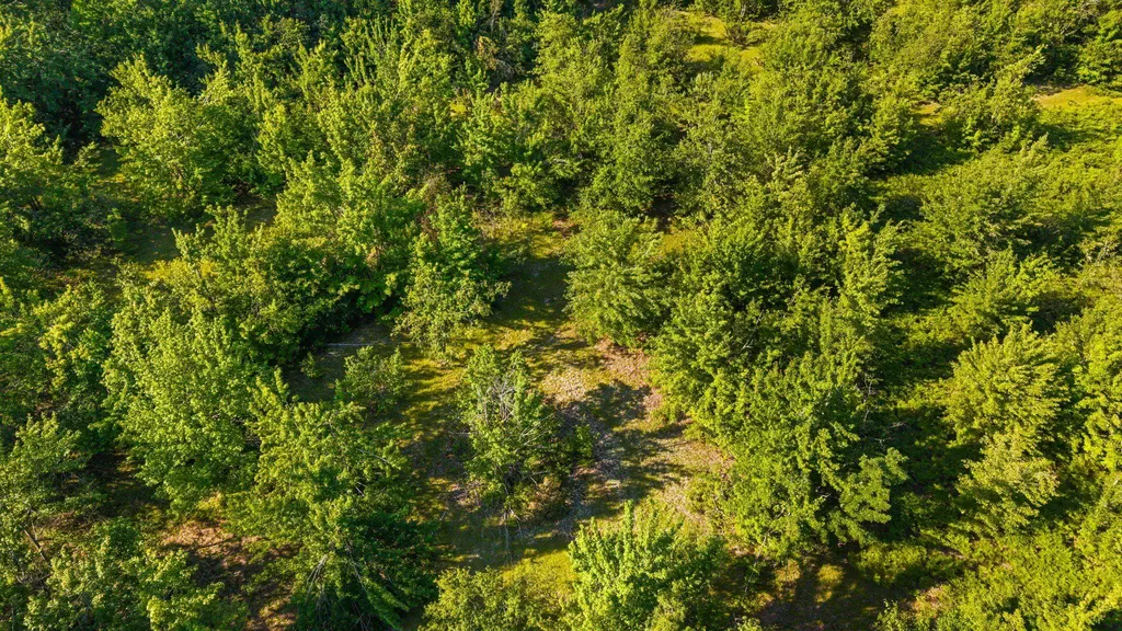 436 Tobias Road Star Township MI 49730